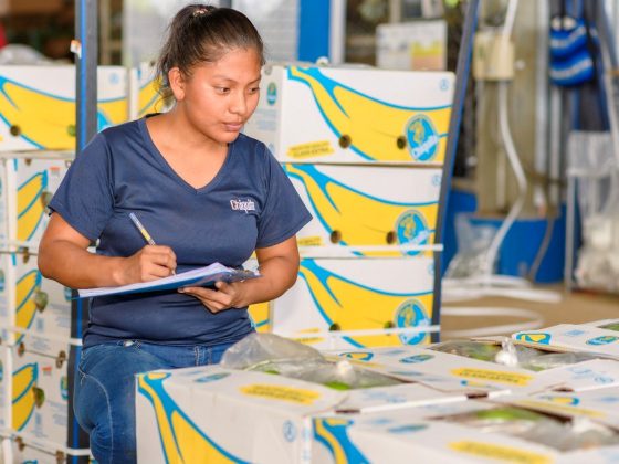 H εταιρεία Chiquita δημιούργησε μία σειρά σημαντικών εργαλείων που διασφαλίζουν τα δικαιώματα των γυναικών.